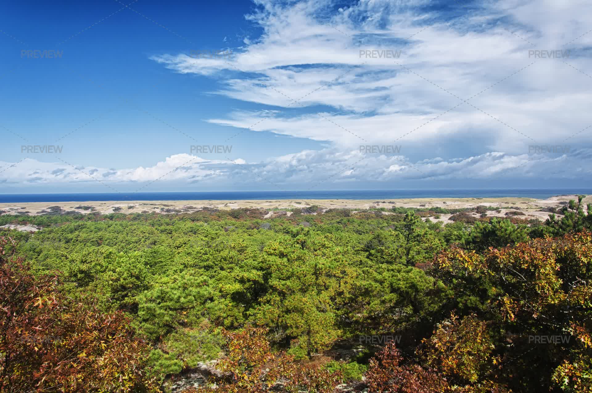 Landscape National Seashore Cape Cod - Stock Photos | Motion Array