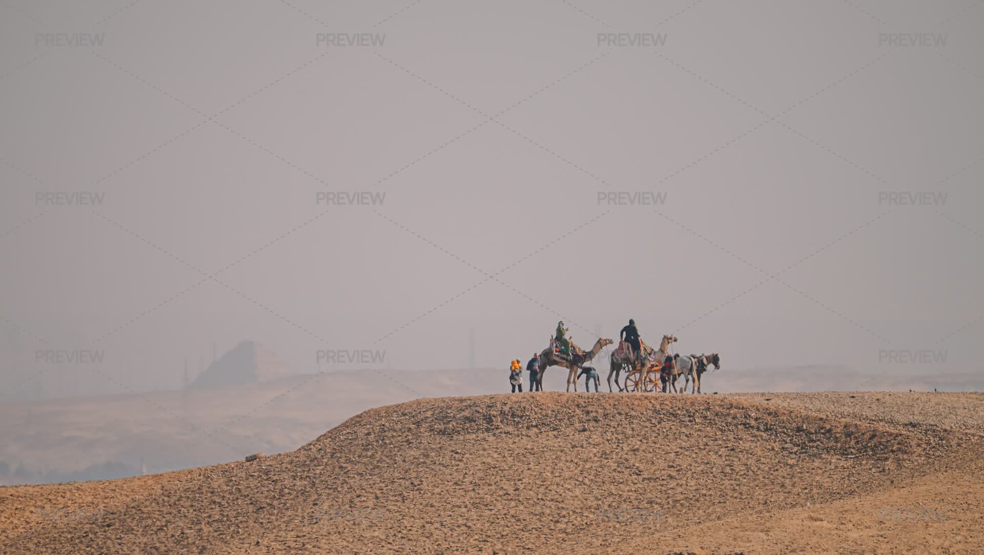 Camels Inmotion Camels In The Desert by George Khelashvili - Stock Photos | Motion Array