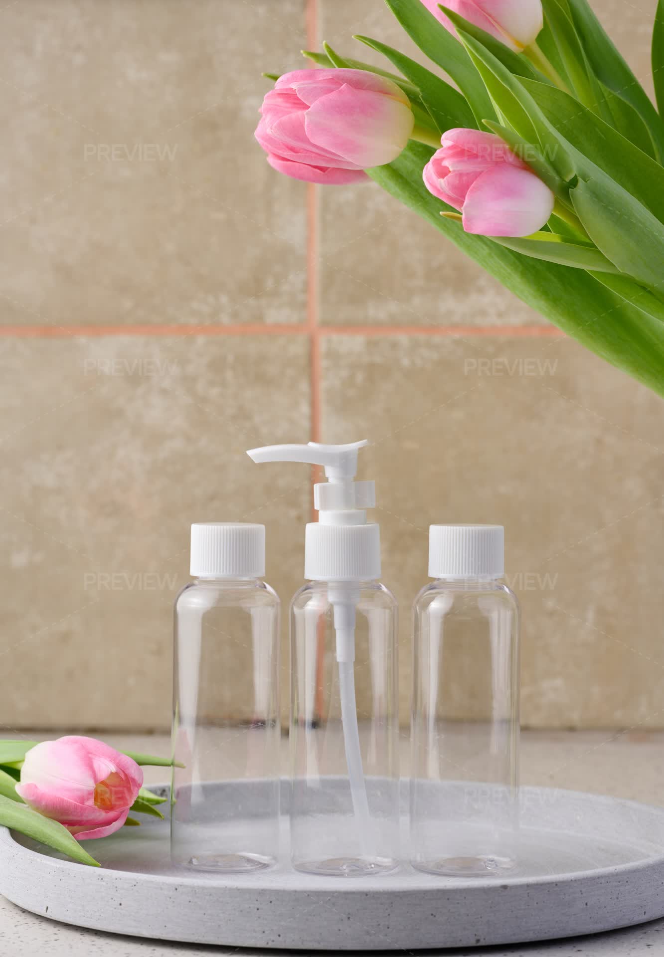 Transparent Plastic Container - Stock Photos | Motion Array