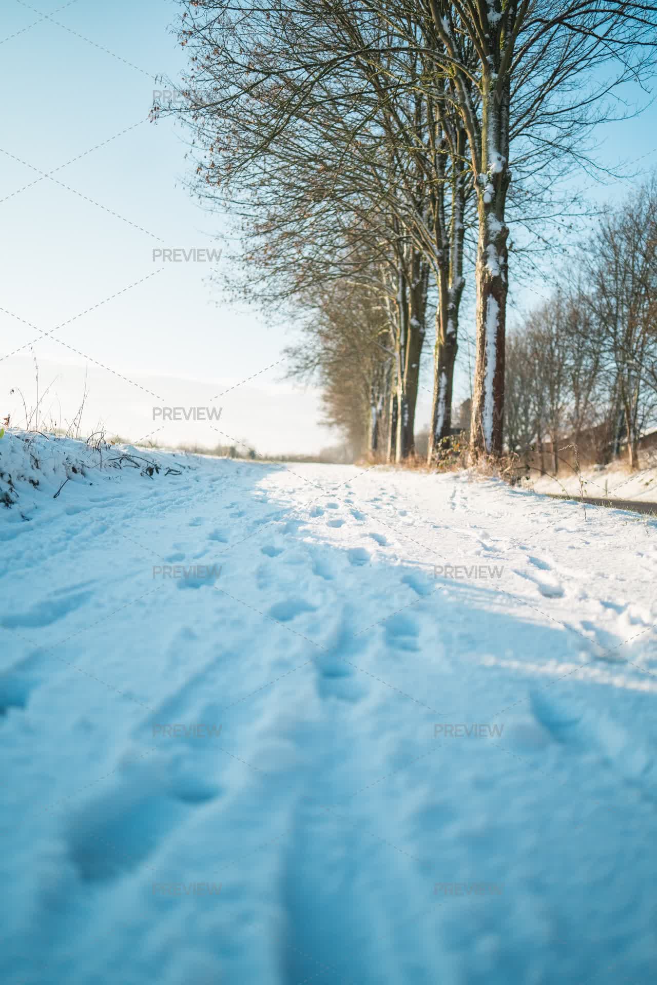 Bottom View Of Footprints In The Snow Co by Ben2Orlando - Stock Photos ...