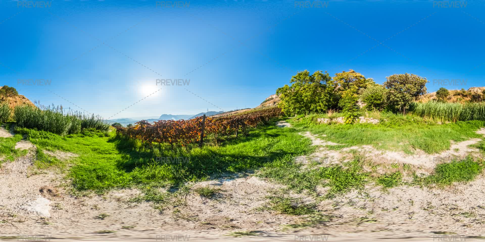 Grapevine. View 360 View Of The Colorful Grapevine Valley by Francesco Sgura - Stock ...