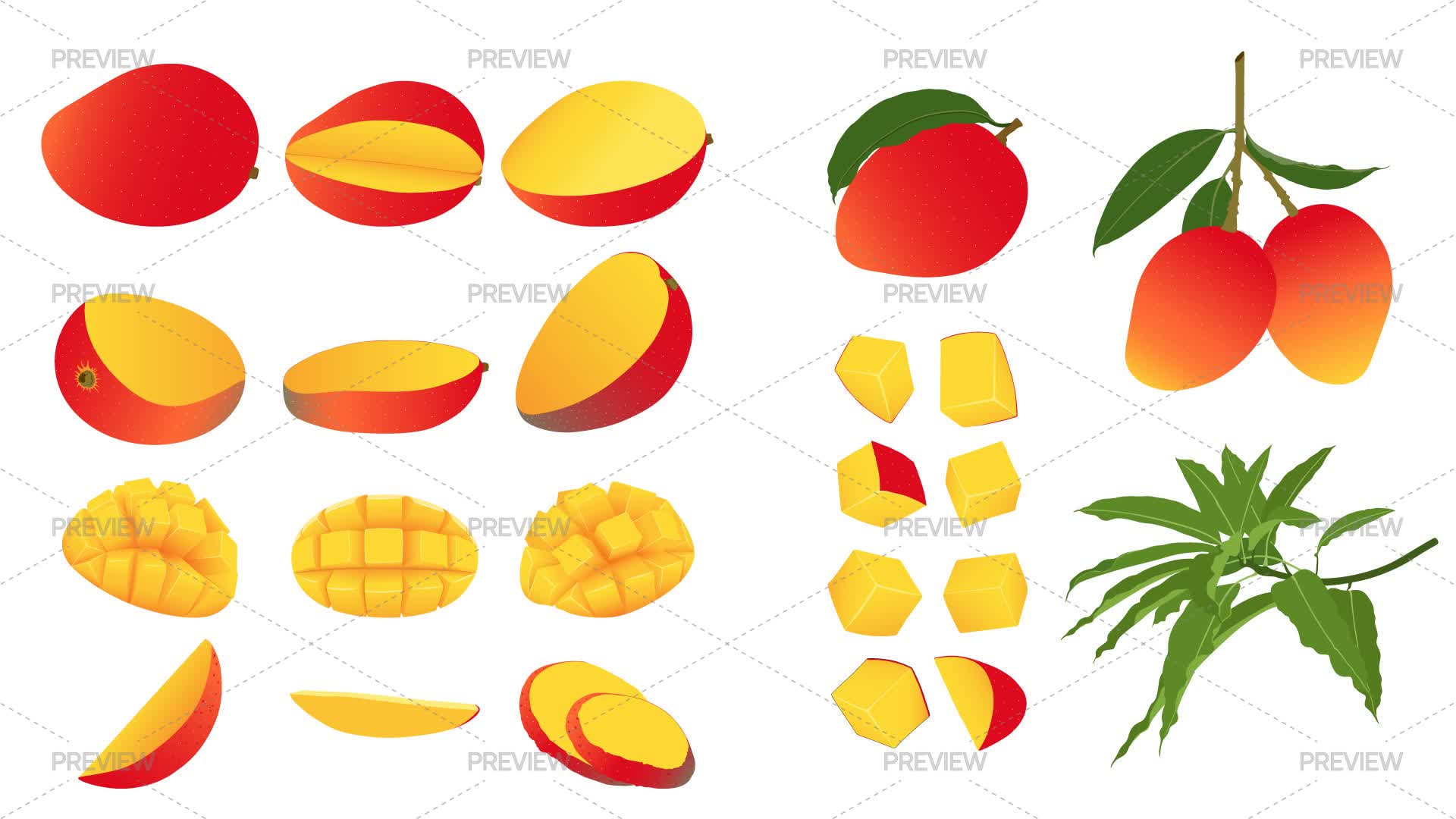 Raw Mango Graphics 23 Fresh Mango Elements by Anastasiia Zhadan - Graphics | Motion Array