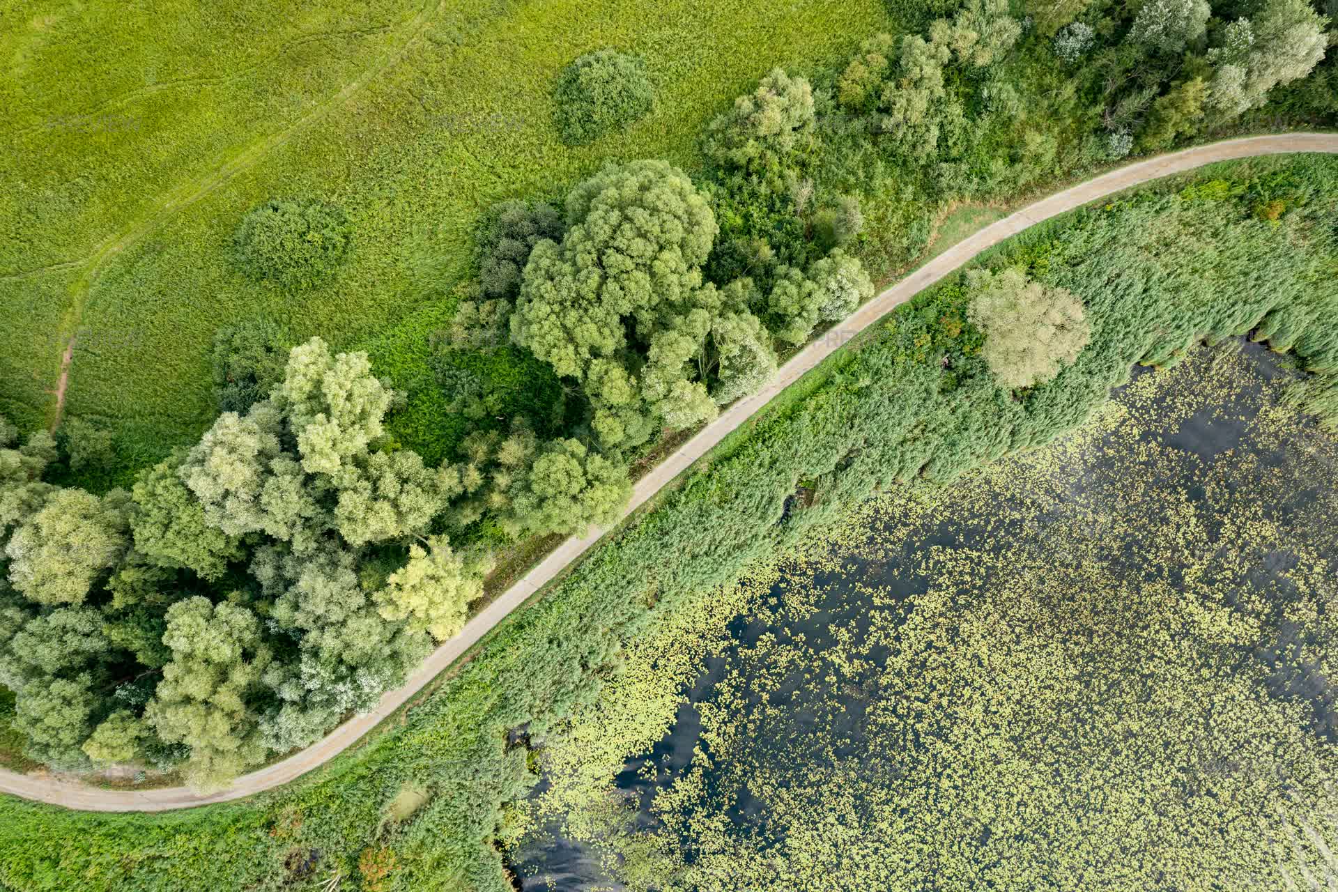 Aerial View Of A Winding Path Between A Lake And Green Field - Stock ...