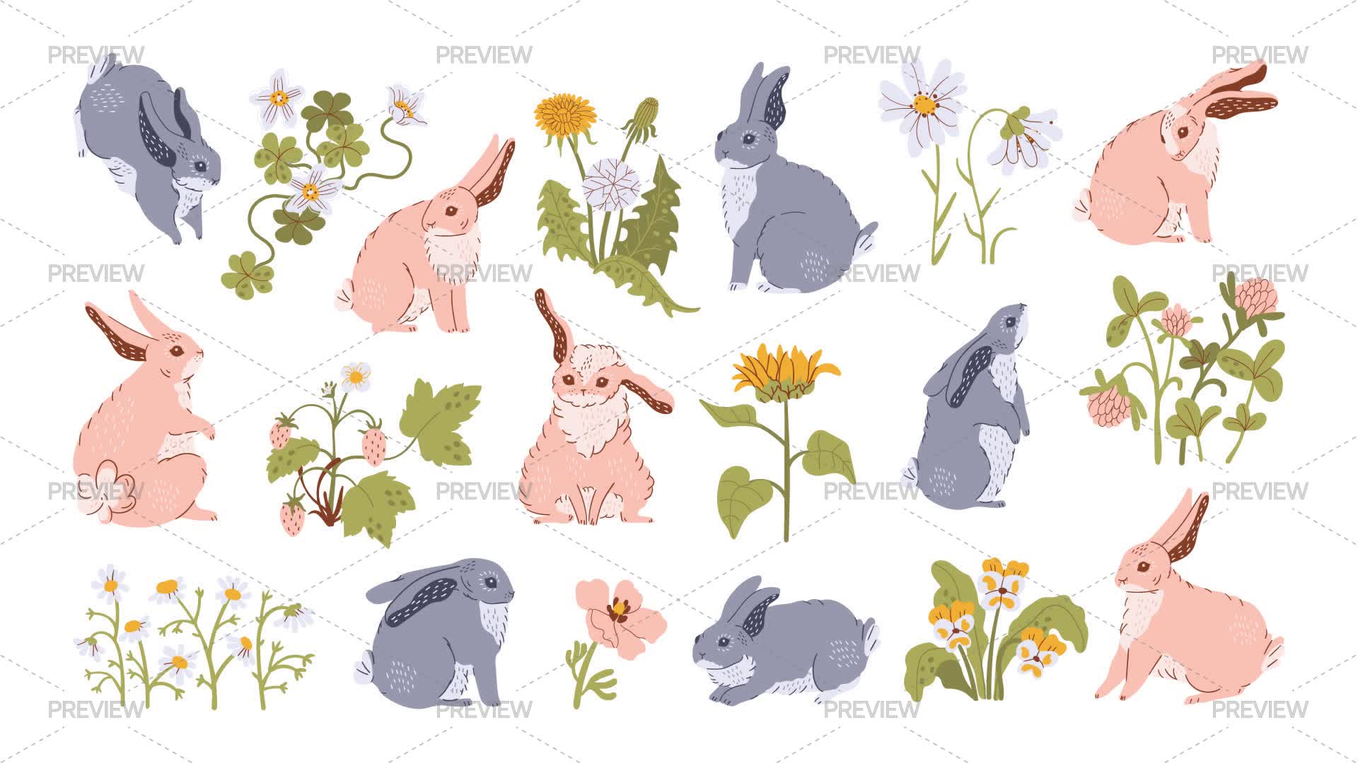 All Different Flowers Rabbit Rabbits And Flowers - Graphics | Motion Array