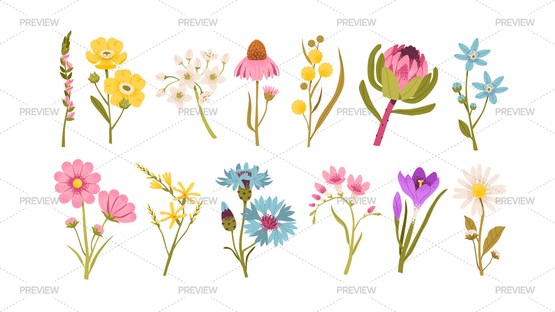 Colorful Spring Flowers - Graphics | Motion Array