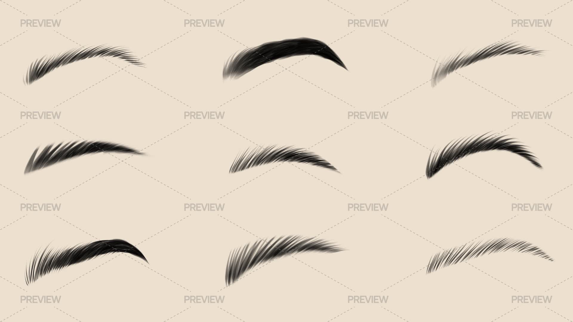 Eyebrow Sketches - Graphics | Motion Array