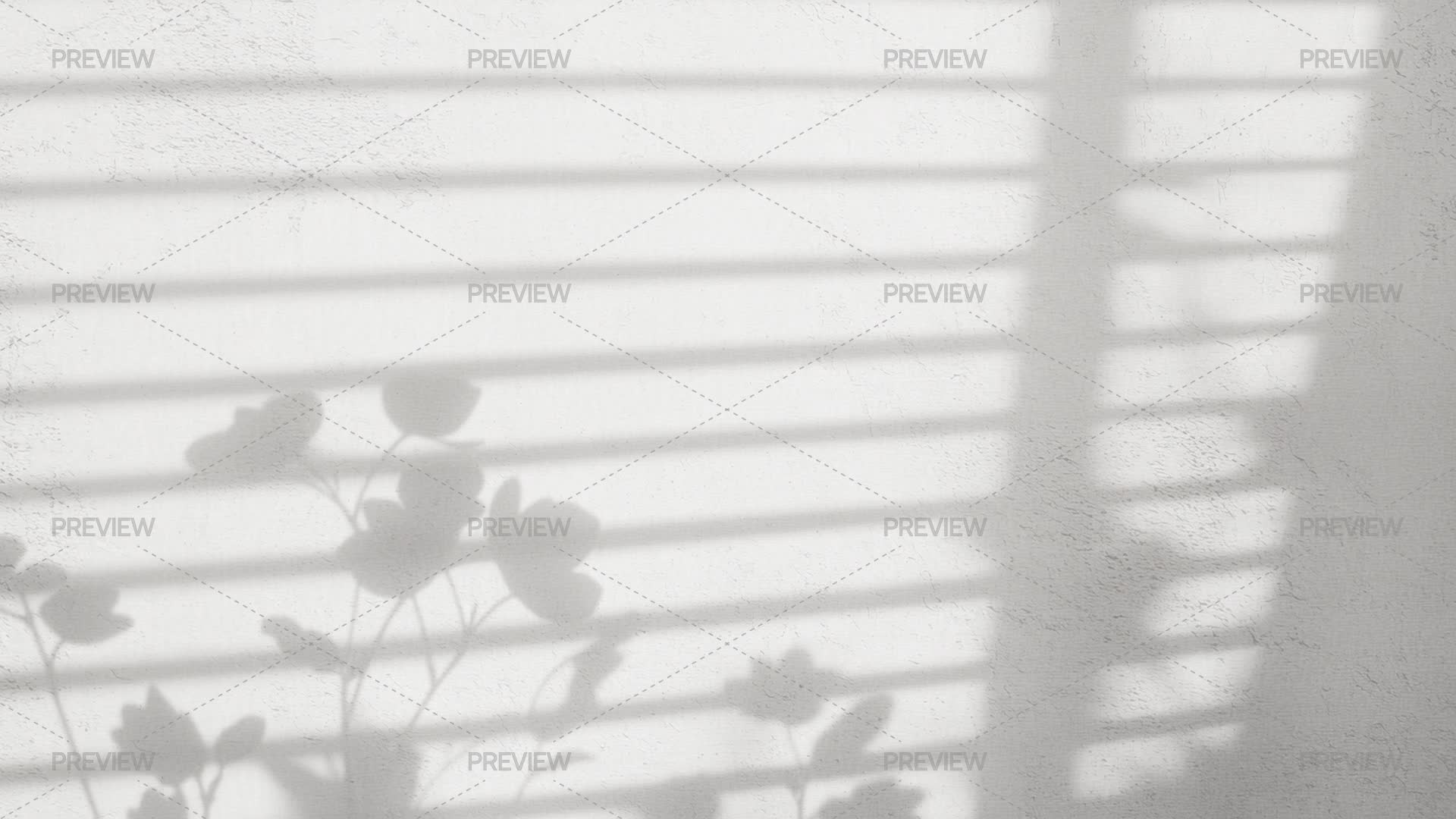 Botanical Shadow Overlay by barsrsind - Graphics | Motion Array