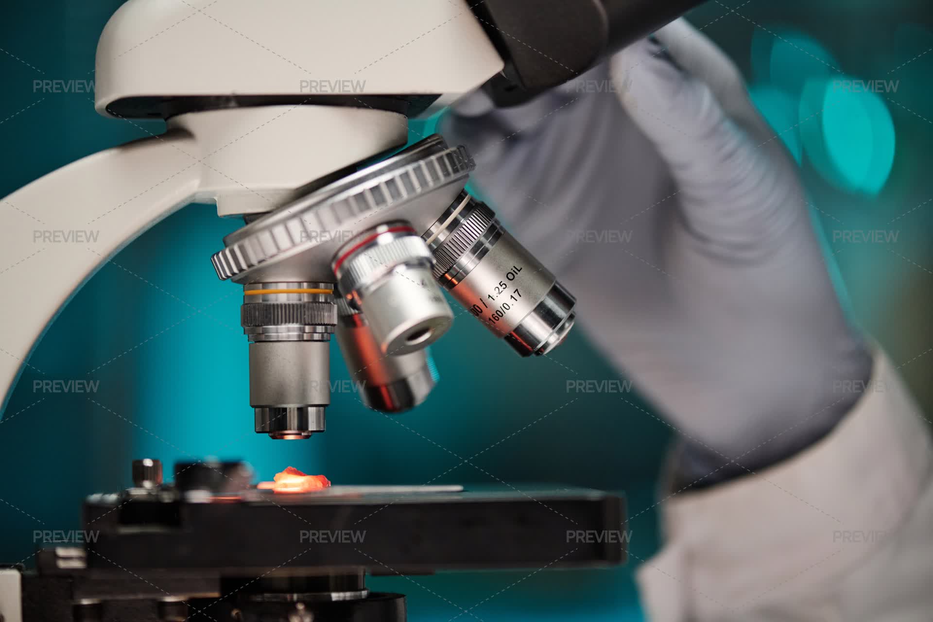 Artificial Meat Under Microscope Magnification - Stock Photos | Motion ...