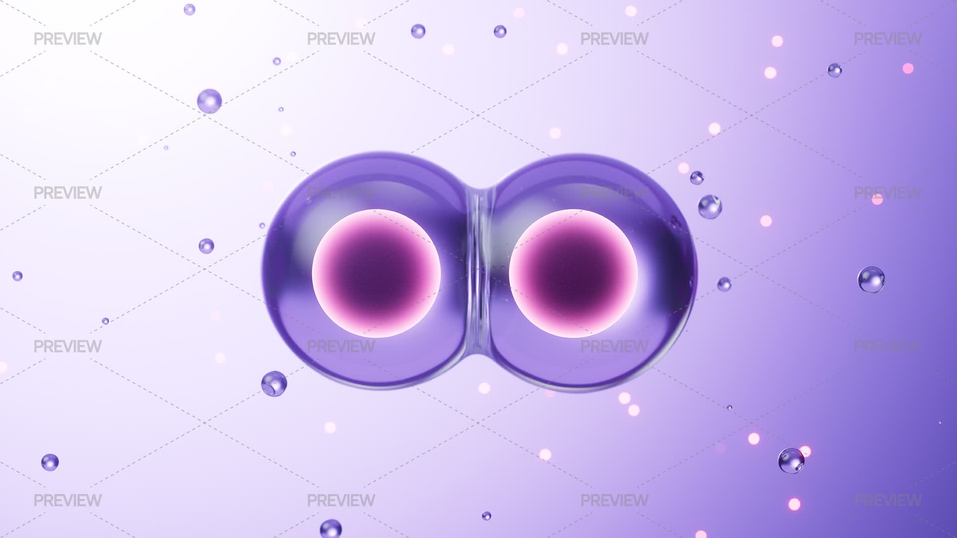 Cell Divides Into Two Cells by Tina Ji - Graphics | Motion Array