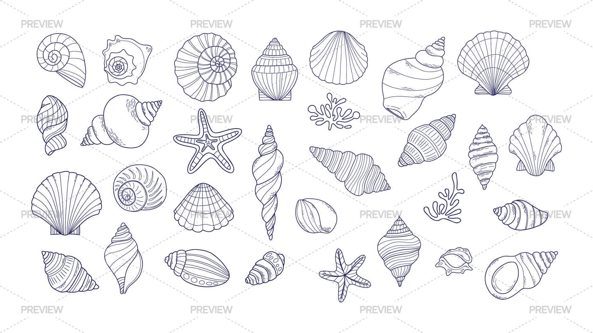 Shells Outline Pattern 30 Outline Shells by LUDmyla - Graphics | Motion Array
