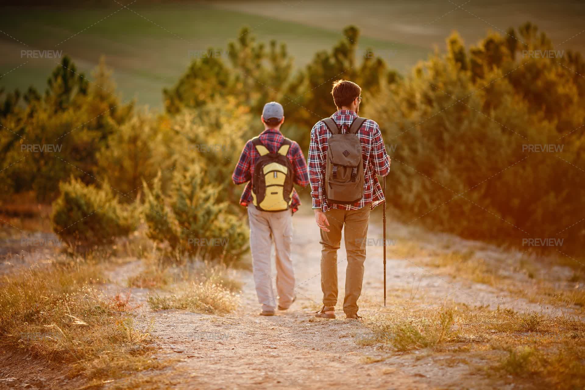 Two Men Hikers Enjoy A Walk In Nature, S - Stock Photos | Motion Array