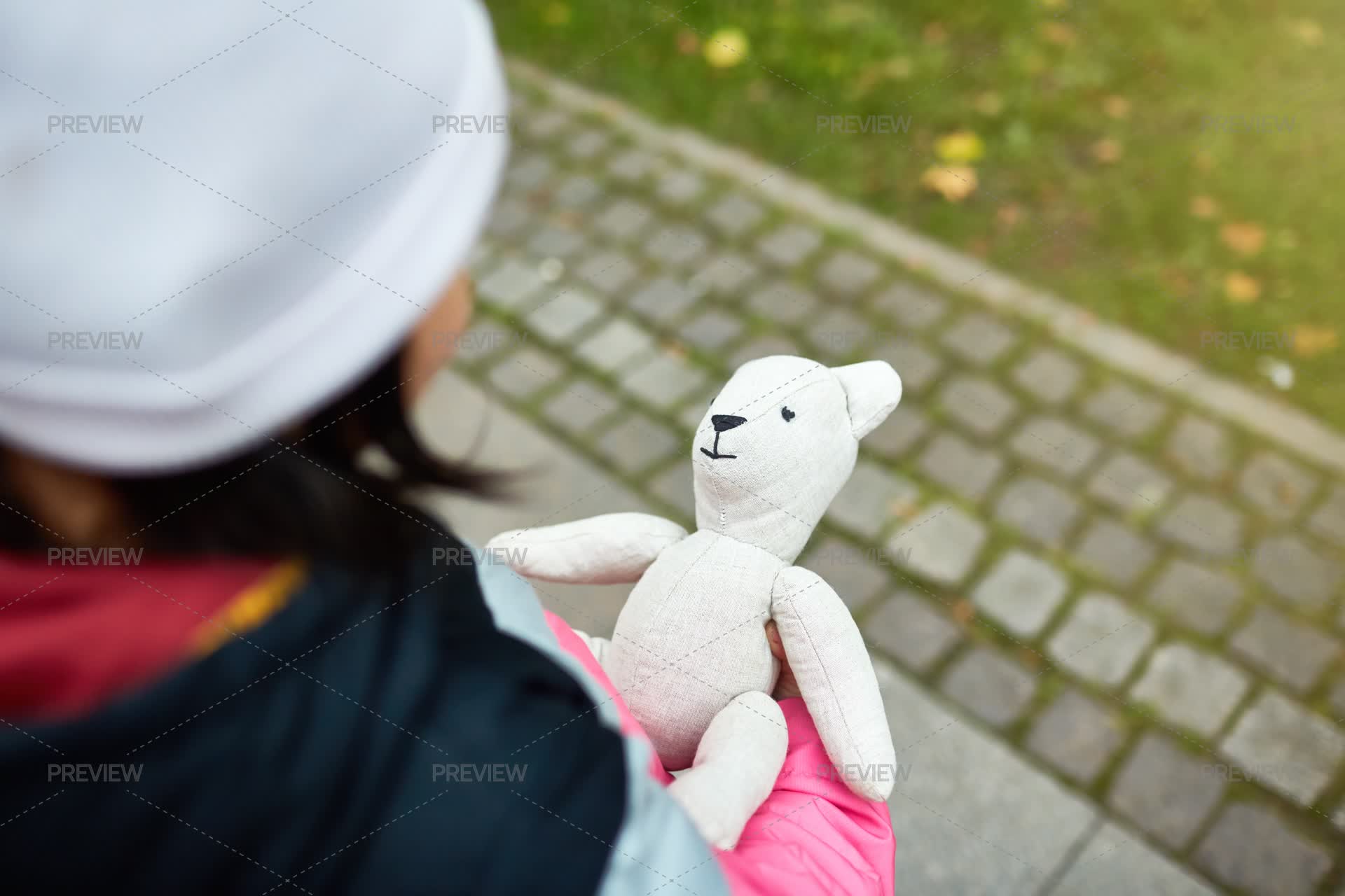 Teddy Playing Playing With Teddy by Pressmaster - Stock Photos | Motion Array