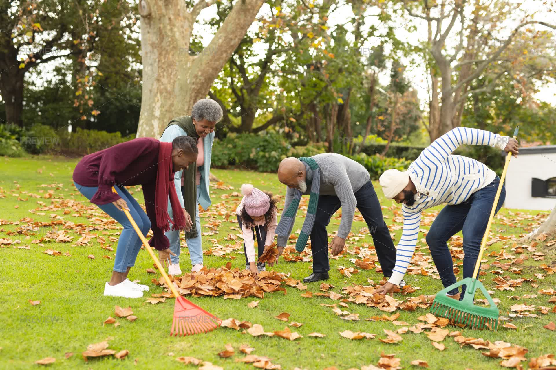 Family Raking Leaves Together - Stock Photos | Motion Array