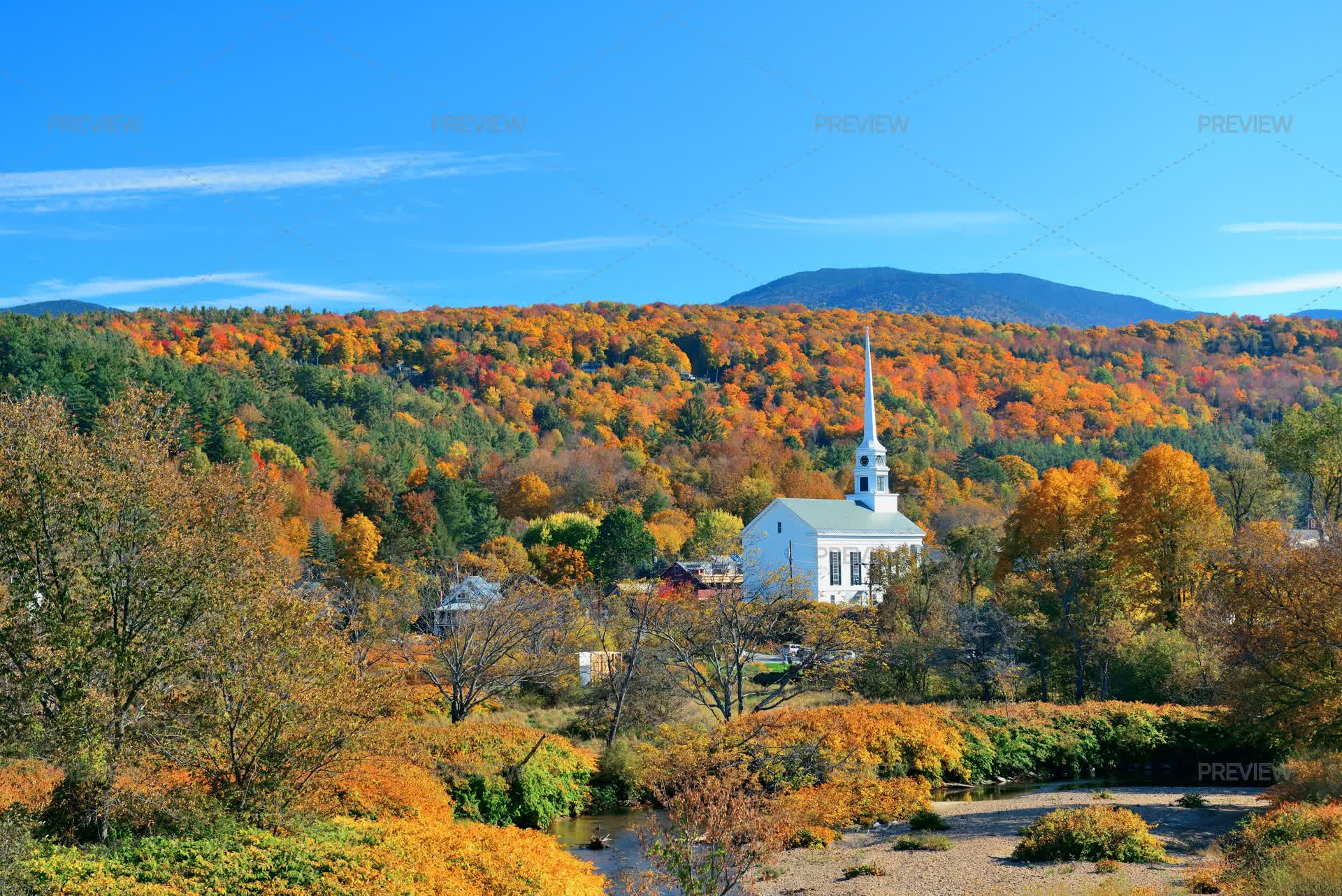Autumn Foliage - Stock Photos | Motion Array