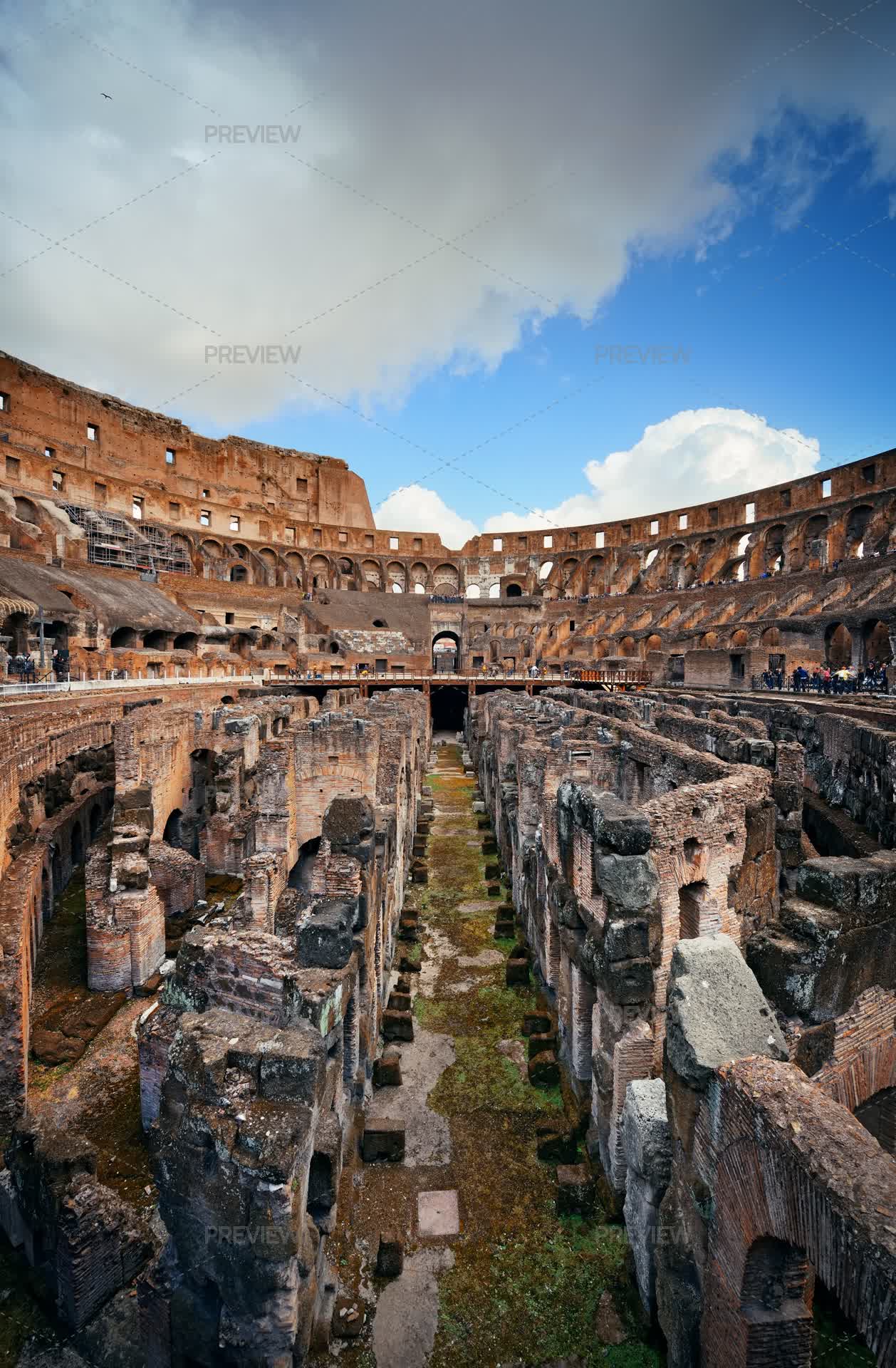 Coluseeum Rome High Res Colosseum In Rome - Stock Photos | Motion Array