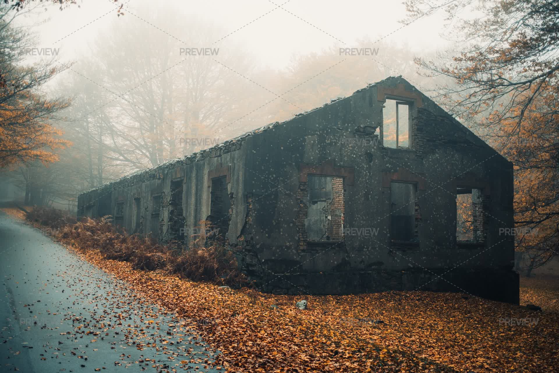 Iost Building Lost And Abandoned Building In The Middle Of The Woods - Stock Photos ...