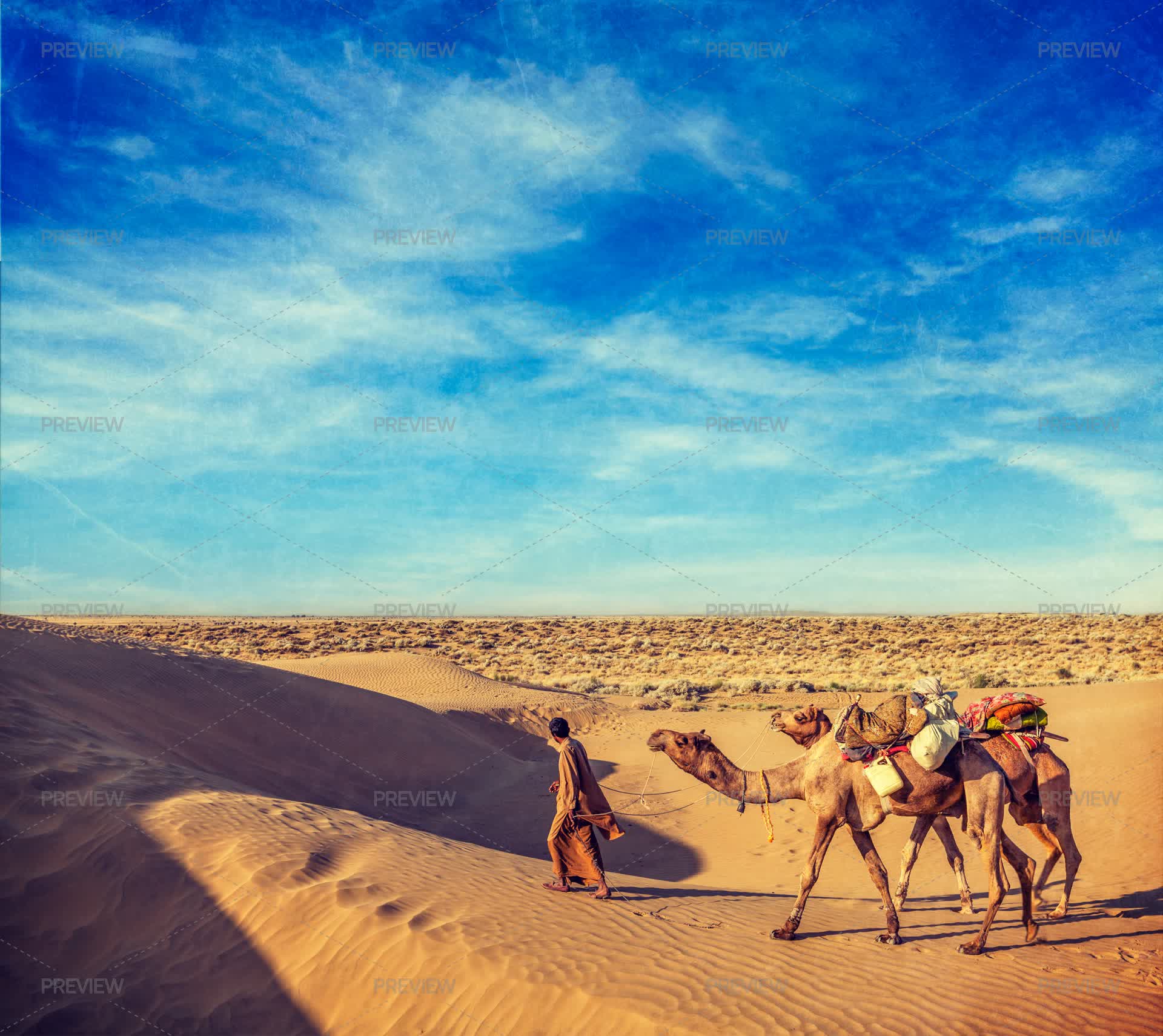 Camels Inmotion Cameleers Walking With Camels In Dunes Of Thar Desert In Rajasthan ...
