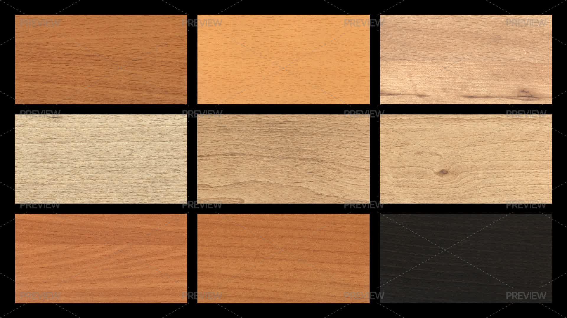 Beech Texture Backgrounds - Graphics | Motion Array