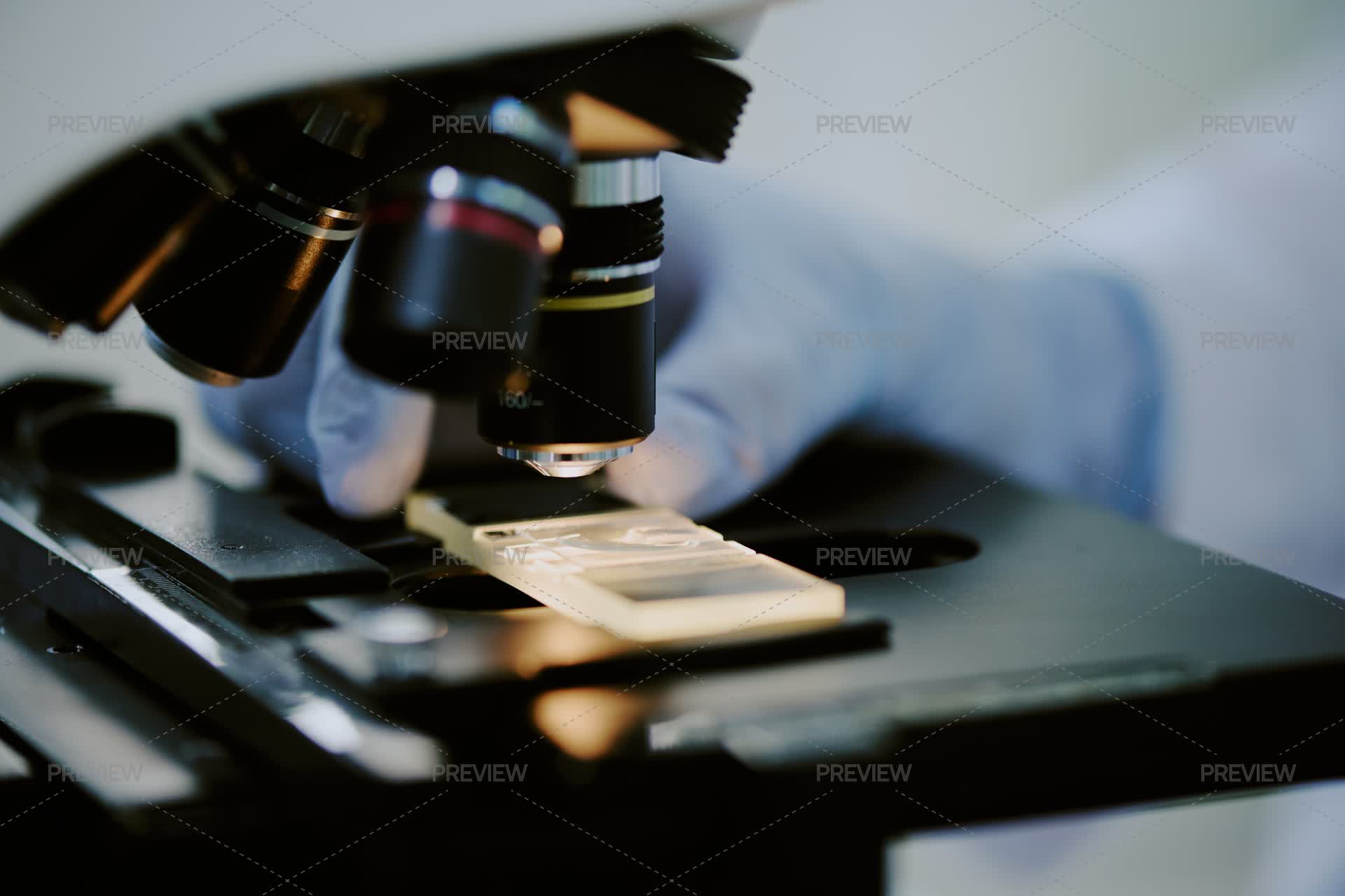 Lab Specimen Using Microscope Examining Specimen Under Microscope In Laboratory Setting by AnnaStills ...
