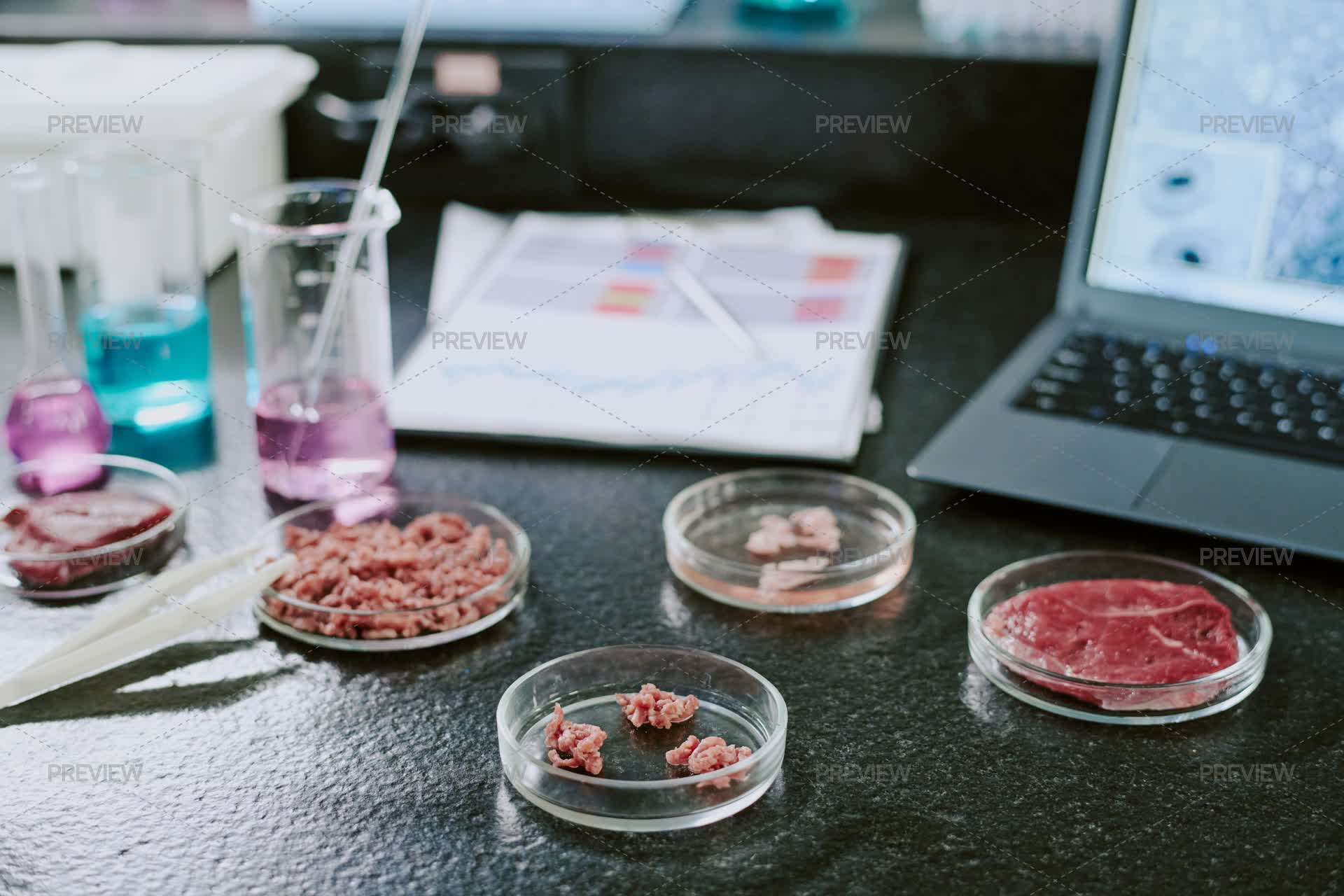 Food Sample Extraction Lab Conducting Food Sample Testing With Modern Technology by AnnaStills ...