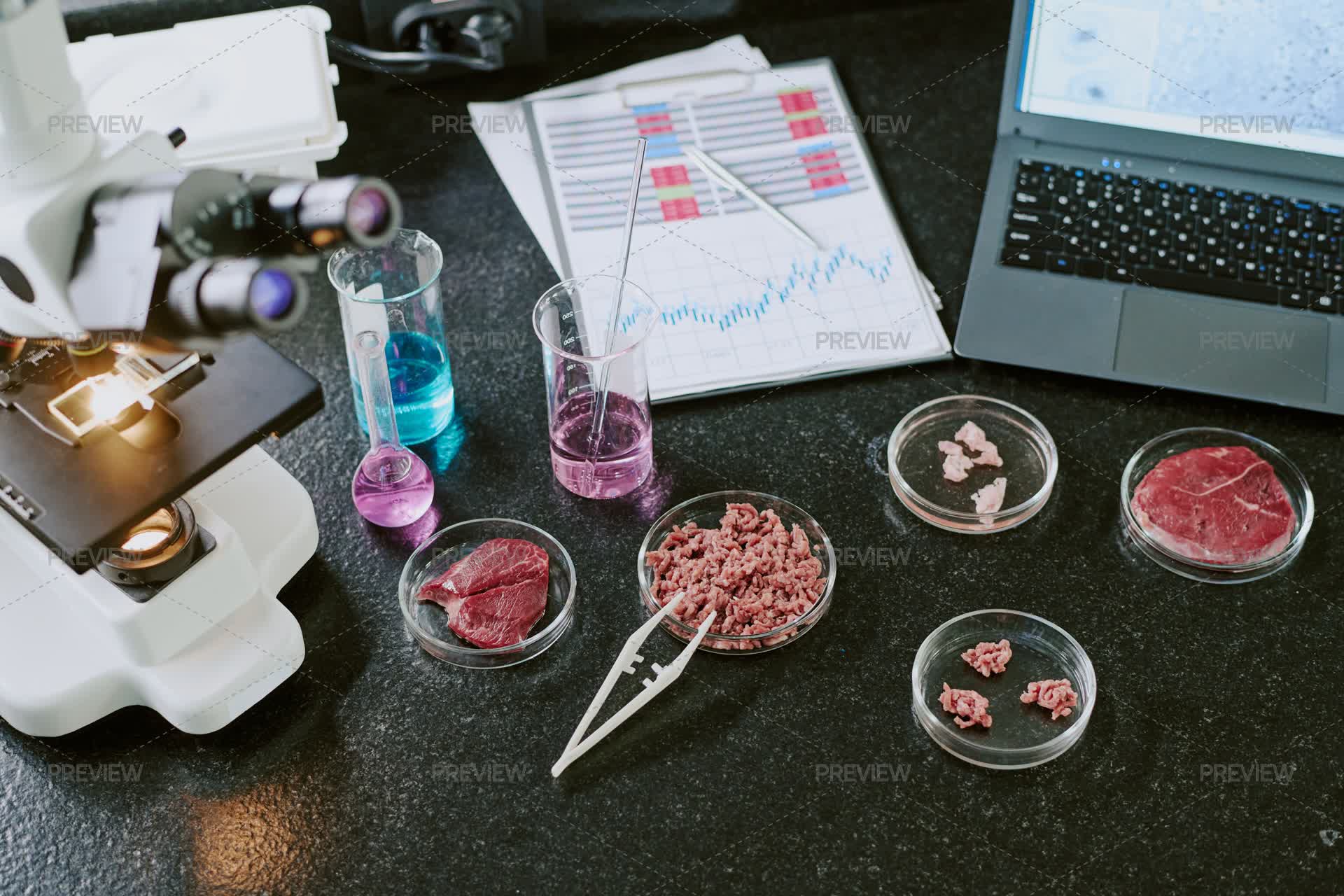 Food Analysis Lab Kit Conducting Food Analysis In Laboratory Setting by AnnaStills - Stock ...