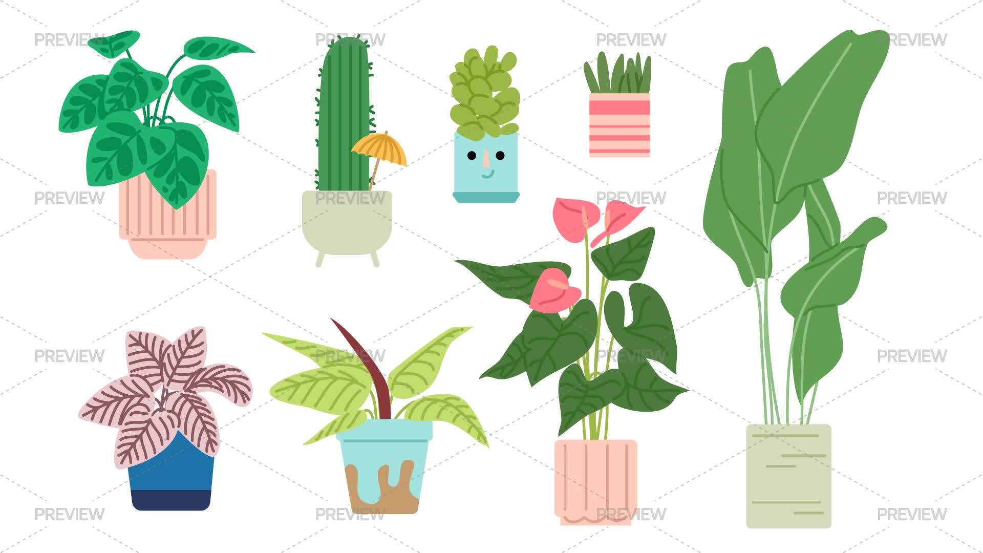 Houseplant Elements by Daria Chaiko - Graphics | Motion Array