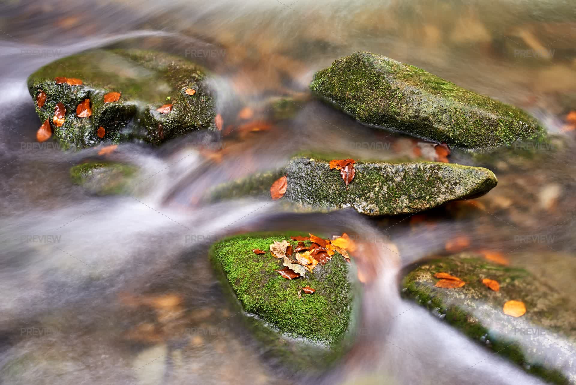 Stream High Resioltion Mountain Stream by Tom - Stock Photos | Motion Array